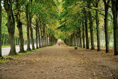 Yvelines Prix – expertise immobilière – Yvelines