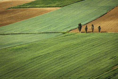 Indre-et-Loire Bien immobilier – Indre-et-Loire