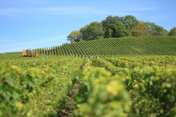Gironde Evaluation immobilière – Gironde