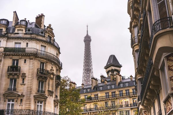 Haussmannien expertise - Paris